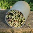 un nichoir fait à base de Tube de canalisation