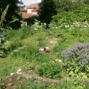 Un jardin plein de vies....