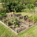 Potager pédagogique de la Cressonnière de Vaise