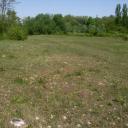 Une vaste prairie à Andrènes