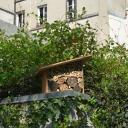 mini hotel à abeilles dans la jardin de mon immeuble mini hotel à abeilles dans la jardin de mon immeuble