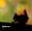 Portrait de bud@